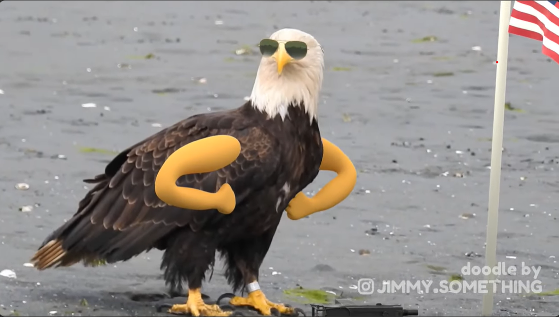 tough eagle Blank Meme Template