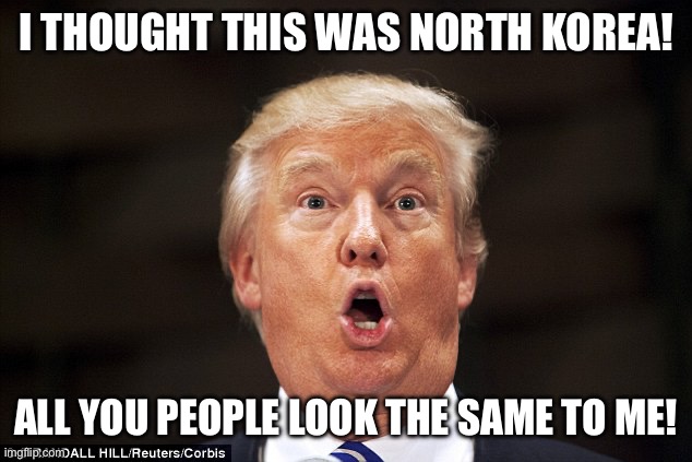 Trump stupid face | I THOUGHT THIS WAS NORTH KOREA! ALL YOU PEOPLE LOOK THE SAME TO ME! | image tagged in trump stupid face | made w/ Imgflip meme maker