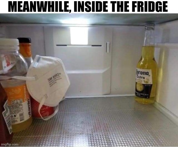 Meanwhile Inside The Fridge | MEANWHILE, INSIDE THE FRIDGE | image tagged in chrisjoines1 | made w/ Imgflip meme maker