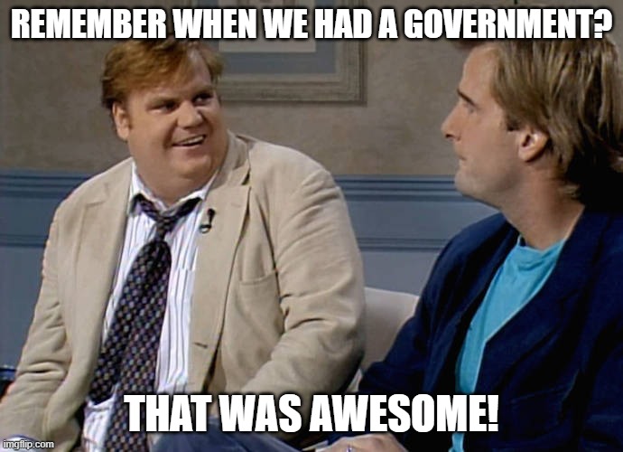 Remember that time | REMEMBER WHEN WE HAD A GOVERNMENT? THAT WAS AWESOME! | image tagged in remember that time | made w/ Imgflip meme maker