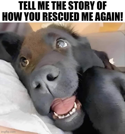 Tell Me The Story Of How You Rescued Me Again | TELL ME THE STORY OF HOW YOU RESCUED ME AGAIN! | image tagged in chrisjoines1 | made w/ Imgflip meme maker