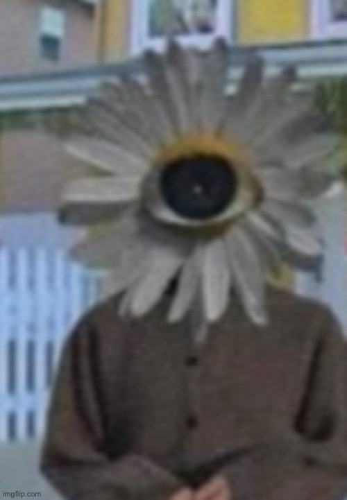 Are we deadass | image tagged in are we deadass | made w/ Imgflip meme maker