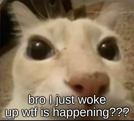fhjsahheyusdjhuhhhhh | bro I just woke up wtf is happening??? | made w/ Imgflip meme maker