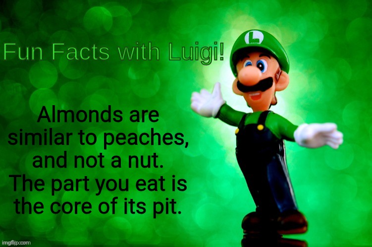 No nut November | Almonds are similar to peaches, and not a nut. The part you eat is the core of its pit. | image tagged in fun facts with luigi,no nut november | made w/ Imgflip meme maker