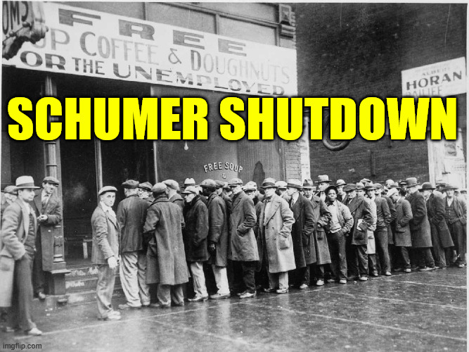 SCHUMER SHUTDOWN | made w/ Imgflip meme maker