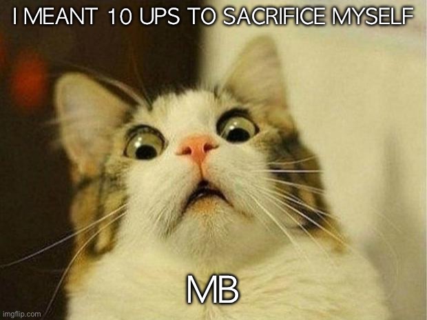 fr this time | I MEANT 10 UPS TO SACRIFICE MYSELF; MB | image tagged in memes,scared cat | made w/ Imgflip meme maker