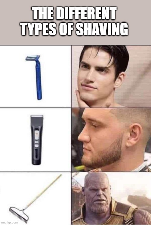 Hi five random person | THE DIFFERENT TYPES OF SHAVING | image tagged in different | made w/ Imgflip meme maker