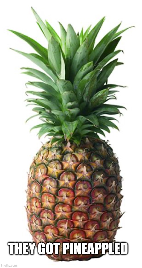 For the Resident Pineapple | THEY GOT PINEAPPLED | image tagged in pineapple | made w/ Imgflip meme maker