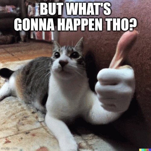 cat with a thumbs up | BUT WHAT'S GONNA HAPPEN THO? | image tagged in cat with a thumbs up | made w/ Imgflip meme maker
