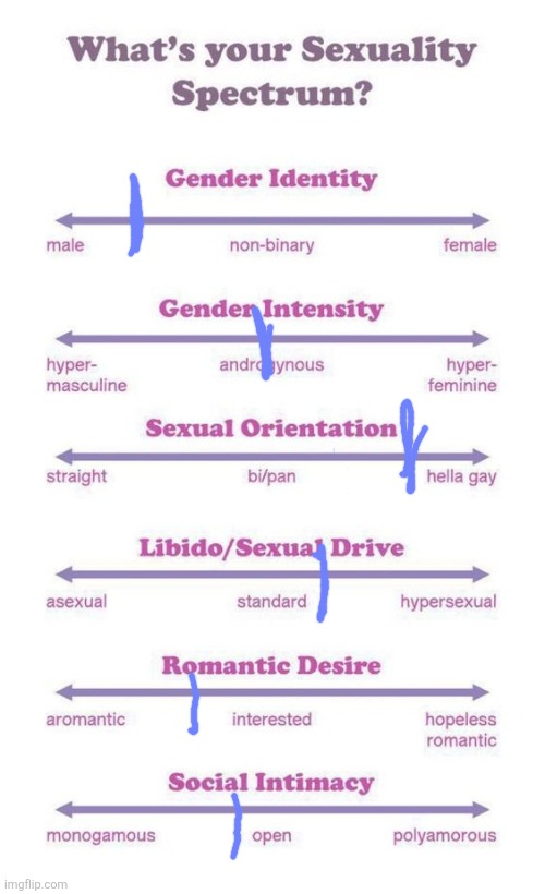 What's your sexuality spectrum? | image tagged in what's your sexuality spectrum | made w/ Imgflip meme maker