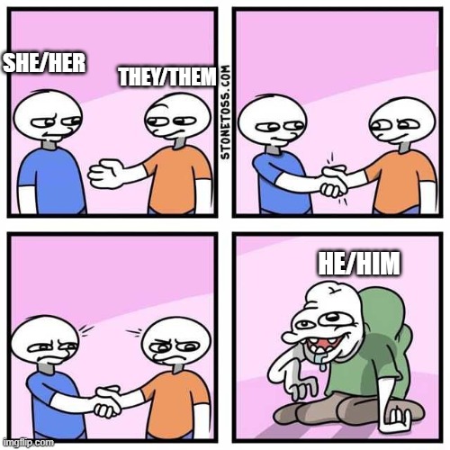 Why.... | SHE/HER; THEY/THEM; HE/HIM | image tagged in handshake | made w/ Imgflip meme maker