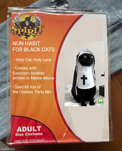 Spirit Halloween | NUN HABIT FOR BLACK CATS; - Holy Cat, Holy Luck; - Comes with Exorcism booklet written in Meow Meow; - Saint Kit Kat of the Chicken  Party Mix | image tagged in spirit halloween | made w/ Imgflip meme maker