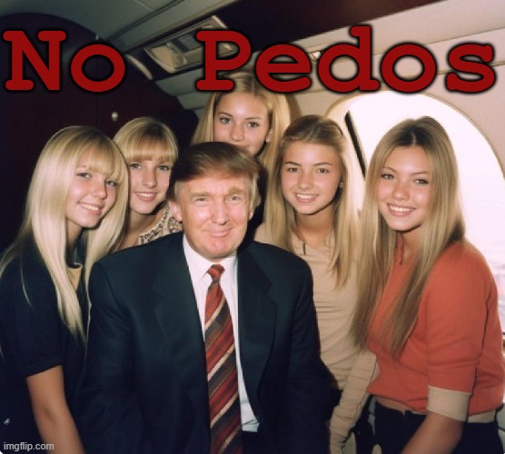Trump Epstein Lolita Express | No Pedos | image tagged in trump epstein lolita express | made w/ Imgflip meme maker