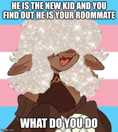 HE IS THE NEW KID AND YOU FIND OUT HE IS YOUR ROOMMATE; WHAT DO YOU DO | made w/ Imgflip meme maker