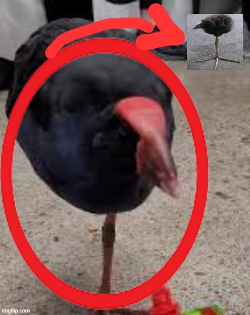 BIG DAMN!!!!!!! | made w/ Imgflip meme maker