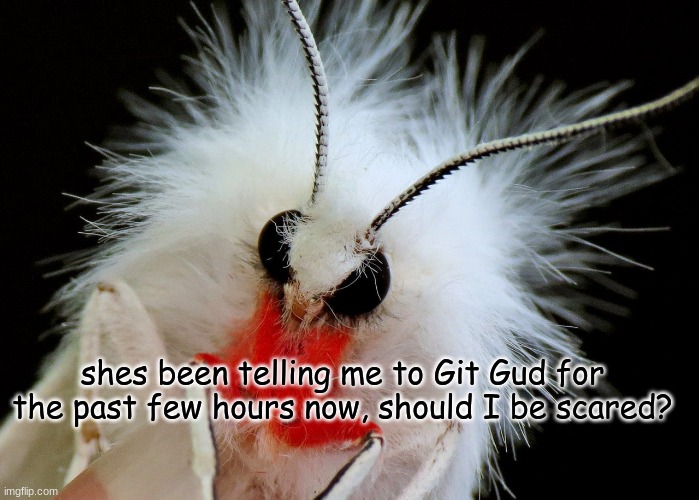 What am I gonna do Hornet, FIGHT THE SUN?!! | shes been telling me to Git Gud for the past few hours now, should I be scared? | image tagged in hollow knight,silksong,funny,memes | made w/ Imgflip meme maker