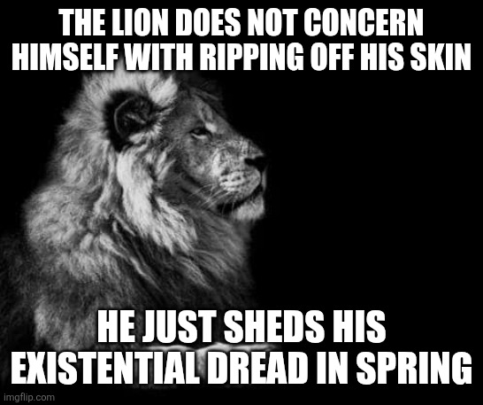 the lion.. | THE LION DOES NOT CONCERN HIMSELF WITH RIPPING OFF HIS SKIN; HE JUST SHEDS HIS EXISTENTIAL DREAD IN SPRING | image tagged in the lion | made w/ Imgflip meme maker