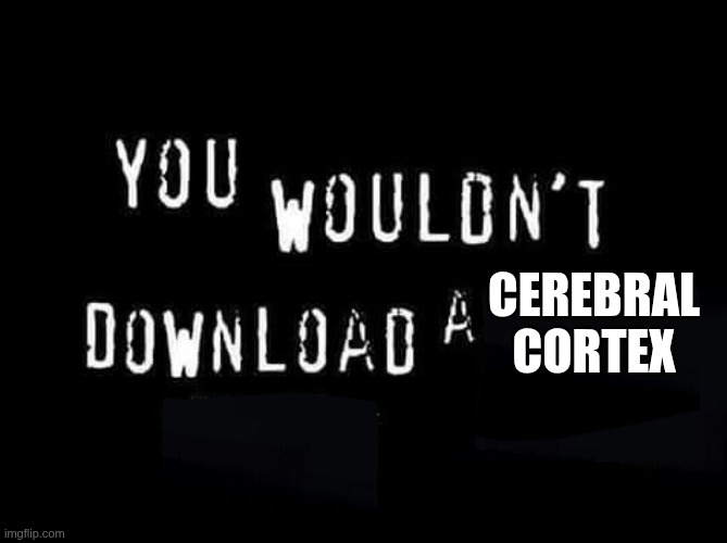 You wouldnt download a | CEREBRAL CORTEX | image tagged in you wouldnt download a | made w/ Imgflip meme maker