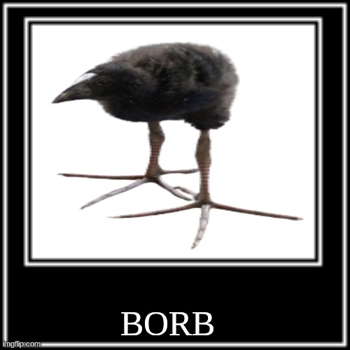 WHAT HOW | BORB | image tagged in what how | made w/ Imgflip meme maker