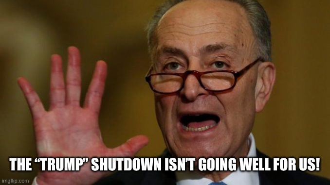 Chuck Schumer | THE “TRUMP” SHUTDOWN ISN’T GOING WELL FOR US! | image tagged in chuck schumer | made w/ Imgflip meme maker