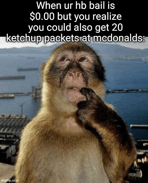 hmmm | When ur hb bail is $0.00 but you realize you could also get 20 ketchup packets at mcdonalds: | image tagged in monkey think,monkey,mcdonalds,funny,ketchup,bail | made w/ Imgflip meme maker