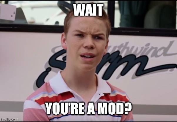 WAIT YOU’RE A MOD? | image tagged in you guys are getting paid | made w/ Imgflip meme maker