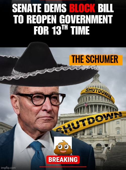 Cuck Scummer's Schumer Shutdown | THE SCHUMER | image tagged in chuck schumer,hat,government shutdown | made w/ Imgflip meme maker