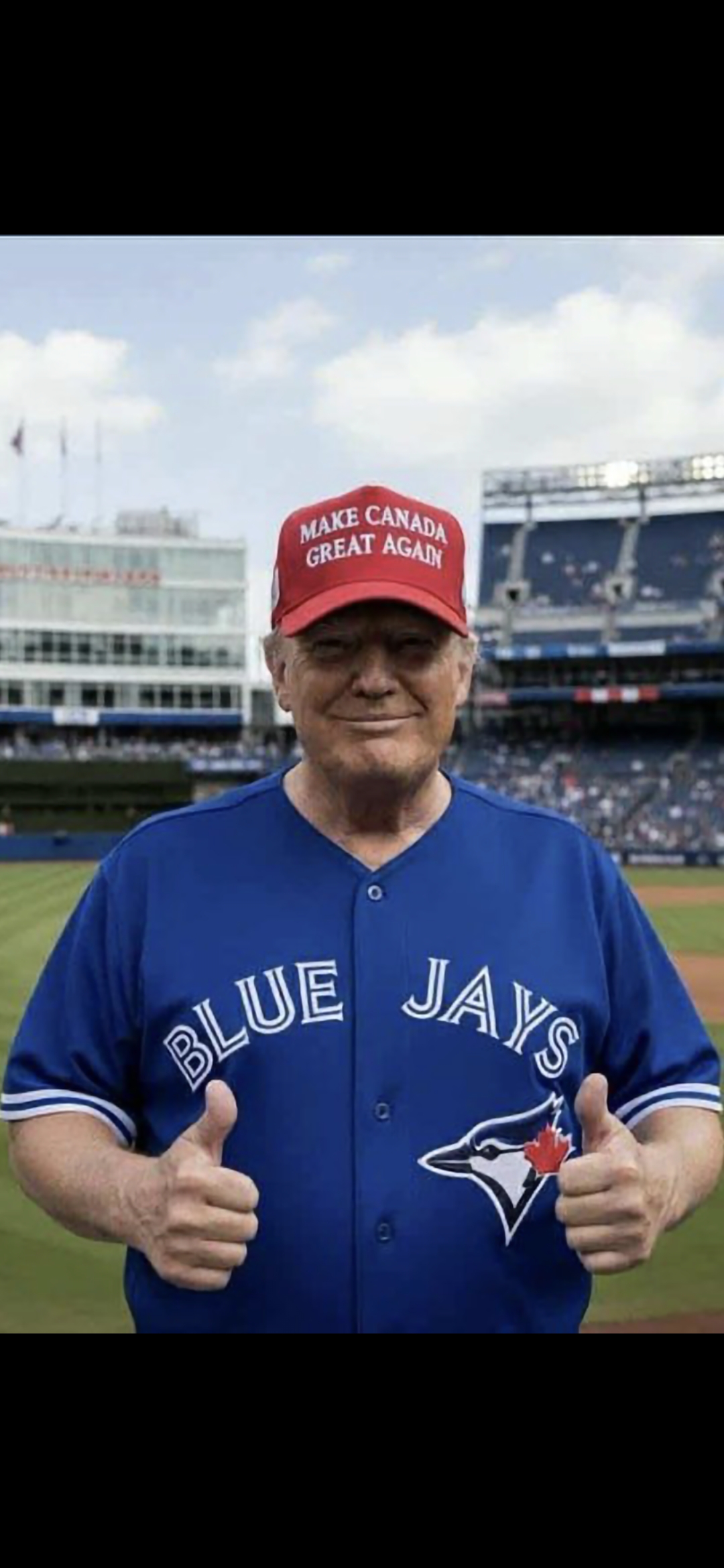 Baseball fan Blank Meme Template