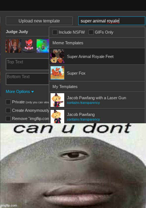 ok wut | image tagged in can you dont,super animal royale,bruh | made w/ Imgflip meme maker