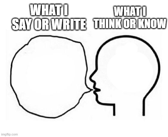 person thinking | WHAT I SAY OR WRITE; WHAT I THINK OR KNOW | image tagged in person thinking | made w/ Imgflip meme maker