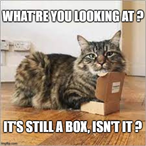 Cat says "what're you looking at. It's a box isn't it?     funny cat memes | WHAT'RE YOU LOOKING AT ? IT'S STILL A BOX, ISN'T IT ? | image tagged in cat,funny,kittens,humor,box,funny cat memes | made w/ Imgflip meme maker