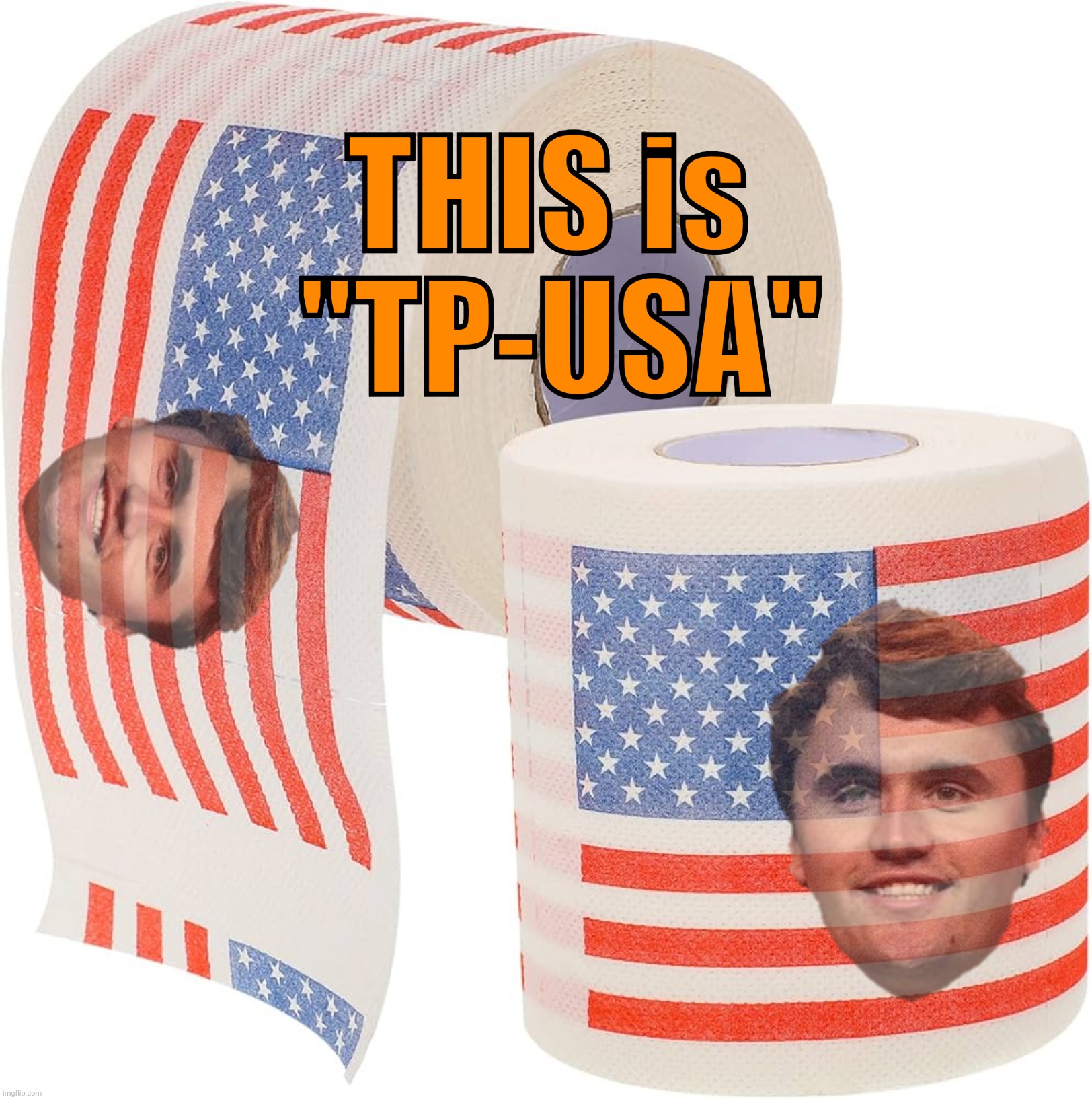 Toilet Paper - USA | THIS is 
"TP-USA" | image tagged in jefthehobo,maga equals traitor,hang trump and his cult,maga must go,fdt,fmaga | made w/ Imgflip meme maker