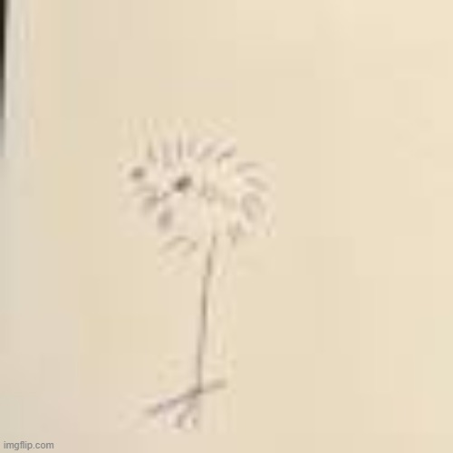 my pukeko fanart | image tagged in twitter | made w/ Imgflip meme maker