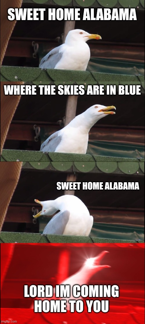 the alabama | SWEET HOME ALABAMA; WHERE THE SKIES ARE IN BLUE; SWEET HOME ALABAMA; LORD IM COMING HOME TO YOU | image tagged in memes,inhaling seagull | made w/ Imgflip meme maker