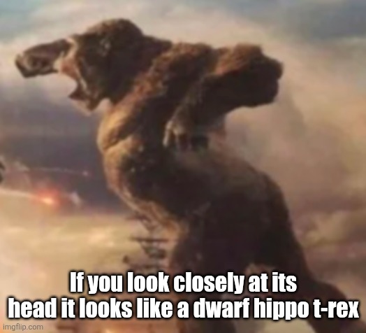 If you look closely at its head it looks like a dwarf hippo t-rex | made w/ Imgflip meme maker