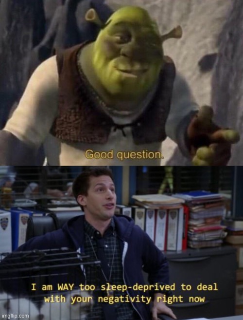 image tagged in shrek good question,i'm way too sleepdeprived to deal with your negativity right now | made w/ Imgflip meme maker