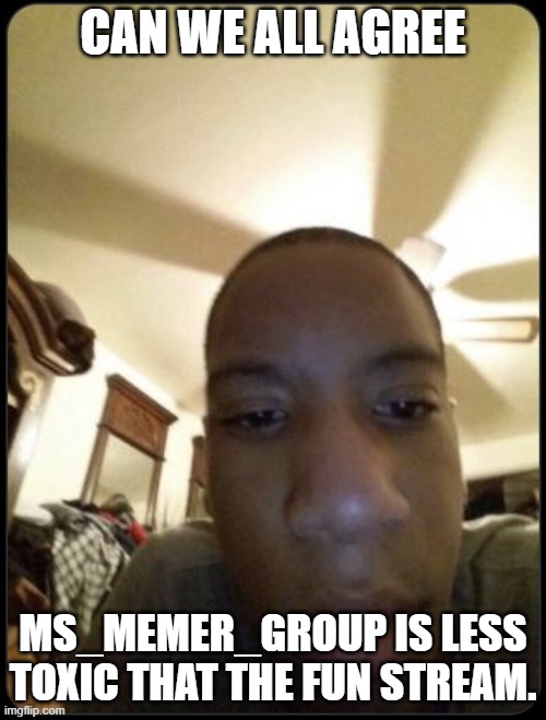 Bored Blank Face Guy | CAN WE ALL AGREE; MS_MEMER_GROUP IS LESS TOXIC THAT THE FUN STREAM. | image tagged in bored blank face guy | made w/ Imgflip meme maker
