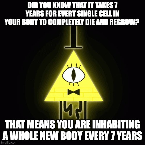 bill cipher says | DID YOU KNOW THAT IT TAKES 7 YEARS FOR EVERY SINGLE CELL IN YOUR BODY TO COMPLETELY DIE AND REGROW? THAT MEANS YOU ARE INHABITING A WHOLE NEW BODY EVERY 7 YEARS | image tagged in bill cipher says | made w/ Imgflip meme maker