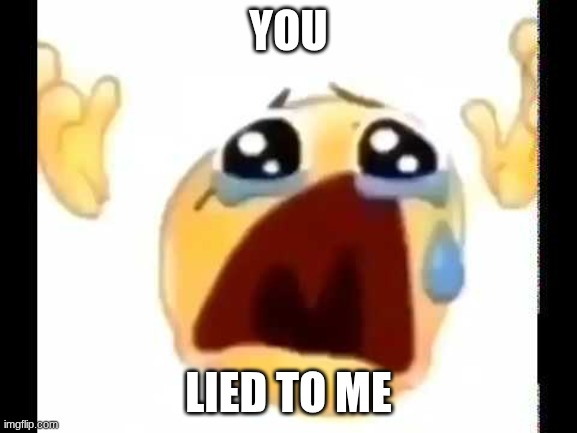 cursed crying emoji | YOU LIED TO ME | image tagged in cursed crying emoji | made w/ Imgflip meme maker