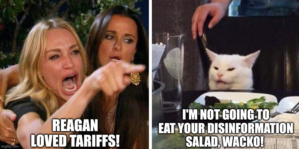Dude, Reagan loved free trade, it's obvious | REAGAN LOVED TARIFFS! I'M NOT GOING TO EAT YOUR DISINFORMATION SALAD, WACKO! | image tagged in smudge the cat,ronald reagan,tarriffs,memes,donald trump,no one believes you | made w/ Imgflip meme maker