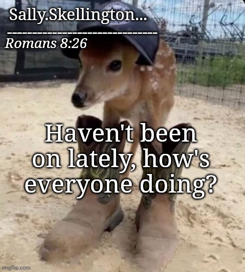 Sally's temp | Haven't been on lately, how's everyone doing? | image tagged in sally's temp | made w/ Imgflip meme maker