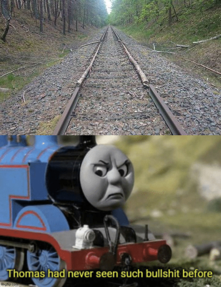 There ... I fixed the tracks for you. | image tagged in thomas had never seen such bullshit before | made w/ Imgflip meme maker