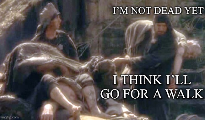 Dead yet? | I’M NOT DEAD YET; I THINK I’LL GO FOR A WALK | image tagged in i'm not dead yet,walking | made w/ Imgflip meme maker