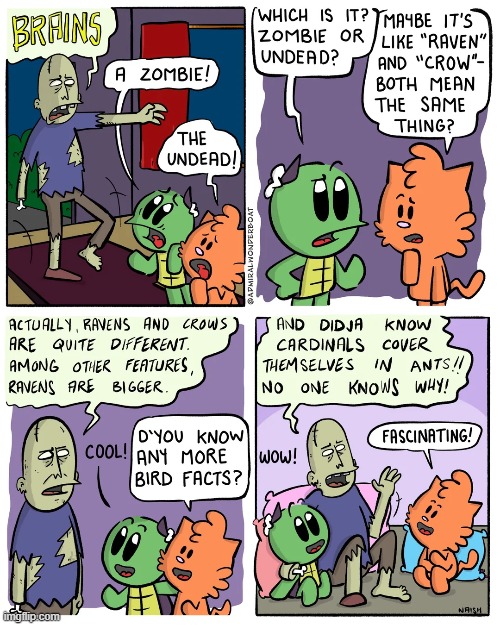 image tagged in halloween,zombie,undead,ravens,crows,knowledge | made w/ Imgflip meme maker