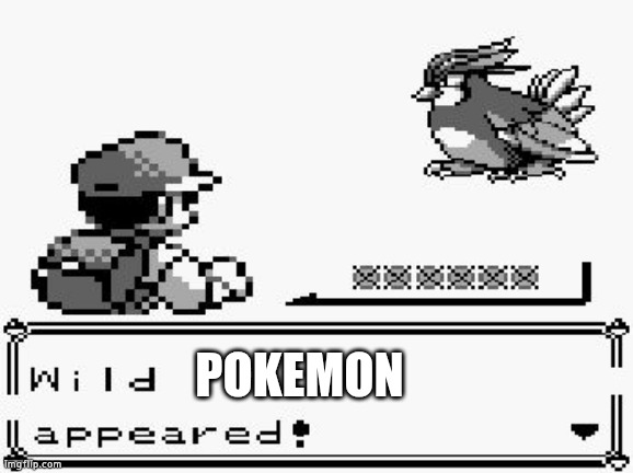pokemon appears | POKEMON | image tagged in pokemon appears | made w/ Imgflip meme maker