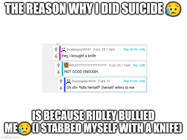 THE REASON WHY I DID SUICIDE ? IS BECAUSE RIDLEY BULLIED ME?(I STABBED MYSELF WITH A KNIFE) | made w/ Imgflip meme maker