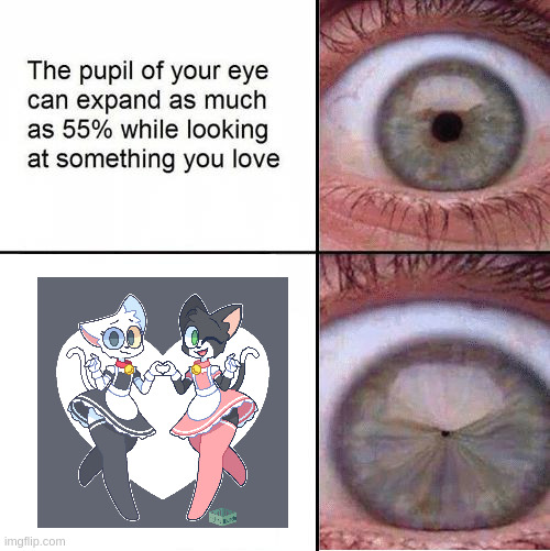 Eye Pupil (Shrinking) Template | image tagged in eye pupil shrinking template | made w/ Imgflip meme maker