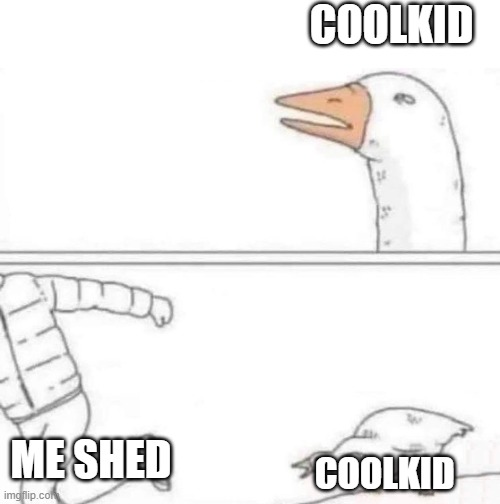 Goose Chase | COOLKID; ME SHED; COOLKID | image tagged in goose chase | made w/ Imgflip meme maker