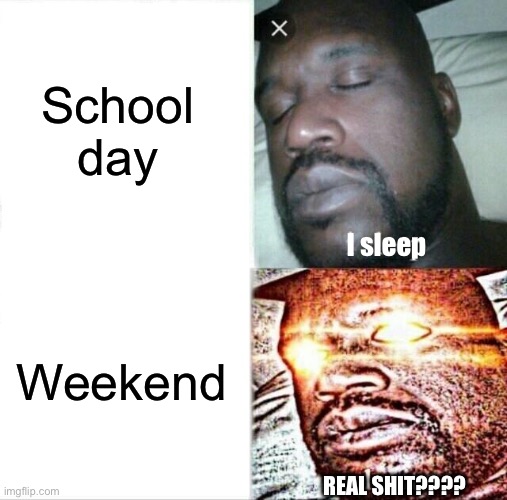 People on the week | School day; I sleep; Weekend; REAL SHIT???? | image tagged in memes,sleeping shaq | made w/ Imgflip meme maker