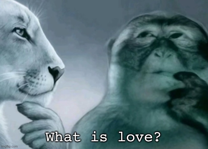 Is this ragebait? | What is love? | image tagged in is this ragebait | made w/ Imgflip meme maker